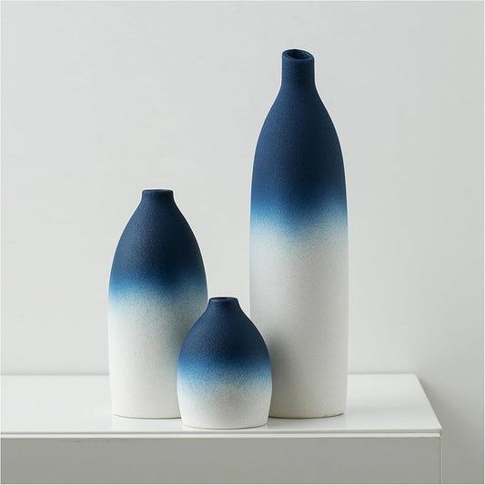 Blue & White Ceramic Decorative Vase Set